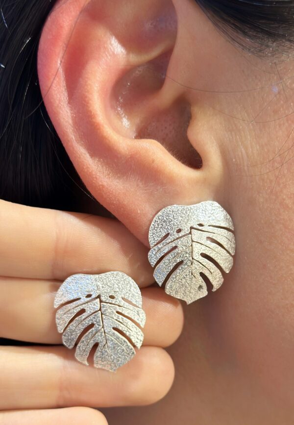 Aretes Monsteras
